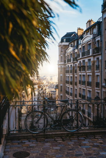 ВНЖ Франции