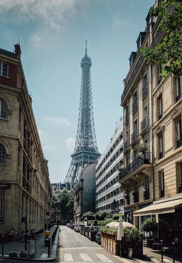 ВНЖ Франции